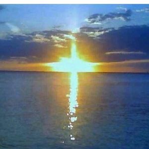 Meet your Posher, Lil